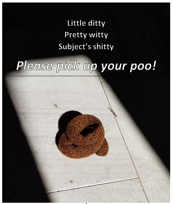 poo poster